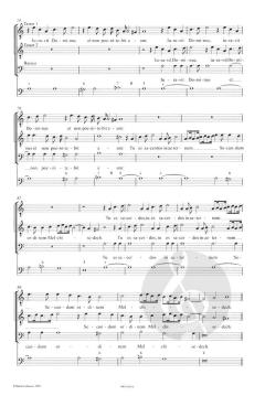 Marienvesper von Claudio Monteverdi 