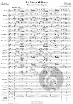 La Pícara Molinera von Luna Pablo 