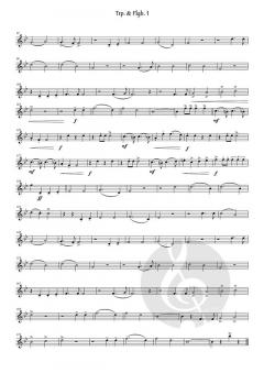 Die Helden unserer Blasmusik von Hummel Gottfried 