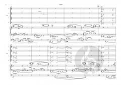 Requiem von Frandsen John 