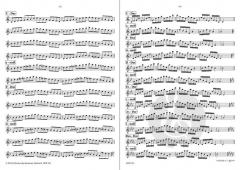 Tonleitern und Dreiklänge von Bornmann Johannes 