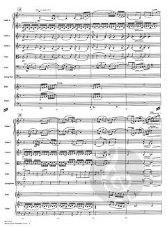 Schindler's List Theme von John Williams 