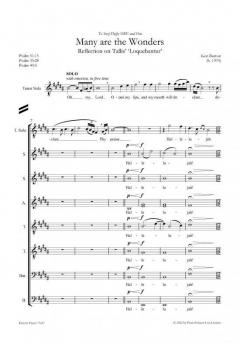 Many are the Wonders von Burton Ken 