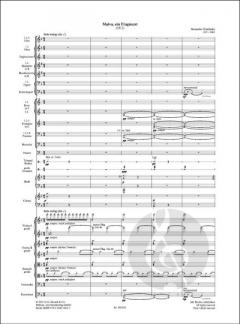 Malva, ein Fragment von Alexander von Zemlinsky 