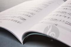 Jef Neve: 2 - English Edition von Neve Jef 