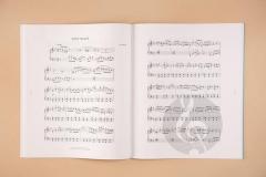 Jef Neve: 2 - English Edition von Neve Jef 