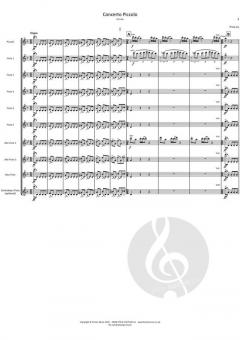 Concerto Piccolo von Philip Joy 