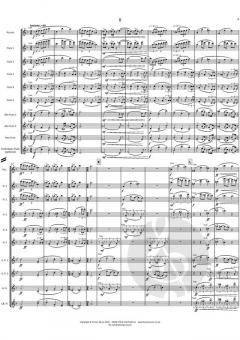 Concerto Piccolo von Philip Joy 