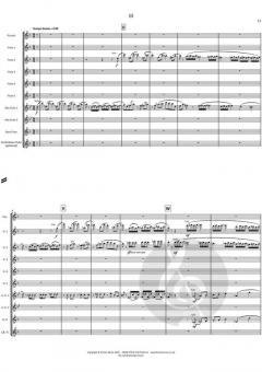 Concerto Piccolo von Philip Joy 