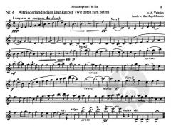 Musik für feierliche Anlässe 