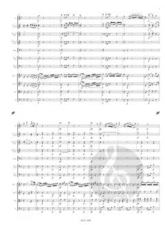 Sinfonia concertante B-Dur von Johann Brandl 