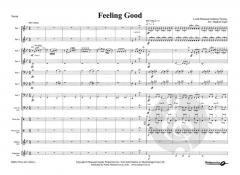 Musik für feierliche Anlässe 