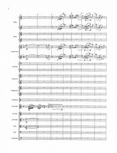 Cello Concerto No. 1 'River' von Sally Beamish 