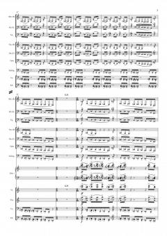 take nine von Bernhard Gander 