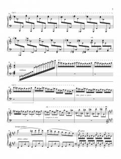 Cadenzas for the Beethoven Piano Concerti (Nos. 1-4) von Marc-André Hamelin 