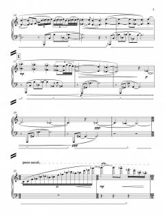 Barcarola von Julian Philips 