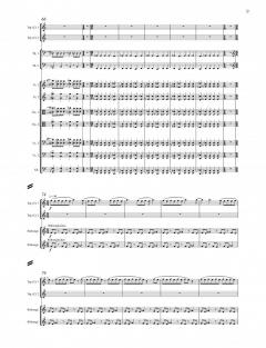 Maximal Funeral von Bernhard Gander 