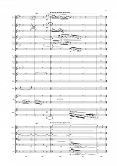 The Little Mermaid von Sally Beamish 