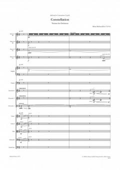 Constellation von Minas Borboudakis 