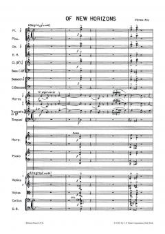 Of New Horizons von Ulysses Simpson Kay 