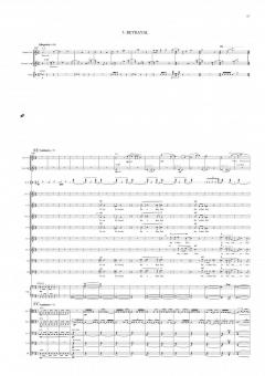 The Judas Passion von Sally Beamish 