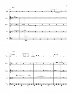 Attention von Pamela Z 