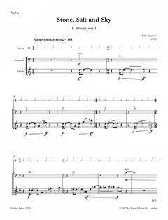 Stone, Salt and Sky von Sally Beamish 