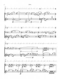 Stone, Salt and Sky von Sally Beamish 