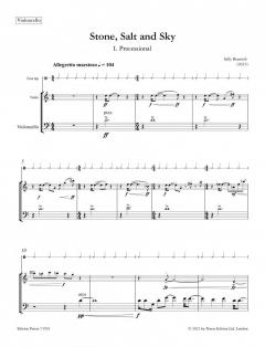 Stone, Salt and Sky von Sally Beamish 