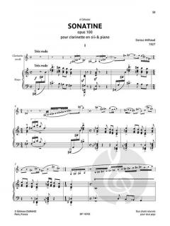 Sing Joy! Make a Beautiful Noise! von Barrett Michael 