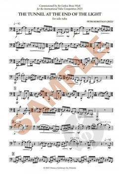 The Tunnel at the End of the Light  von Petri Keskitalo 