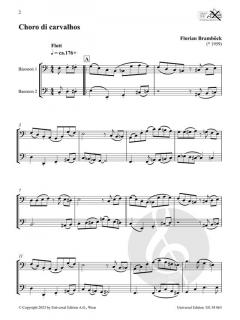 Afro-Latin Bassoon Duets 