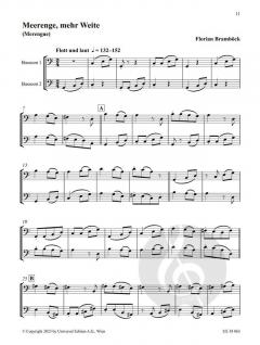 Afro-Latin Bassoon Duets 