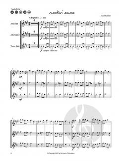 More Fun for Saxophones von Bart Bakker im Alle Noten Shop kaufen