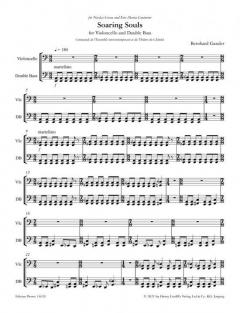 Soaring Souls von Bernhard Gander 