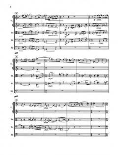 Divertimento für Kammerorchester von Fidelio F. Finke 