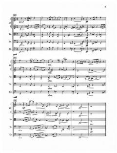 Divertimento für Kammerorchester von Fidelio F. Finke 