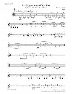 Im Angesicht des Zweiflers von Sidney Corbett 