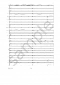 Spring Rain von Eriks Ešenvalds 