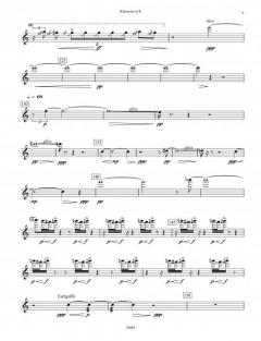 Zugvögel von Carola Bauckholt 