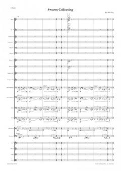 Swarm Collecting von Sky Macklay 