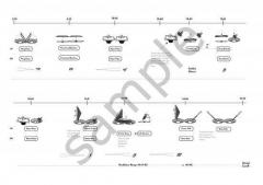Shiver Lung II von Ash Fure 
