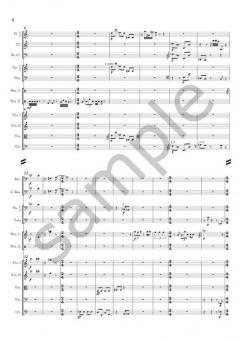 Old Shoe, New Shoe von Christan Wolff 