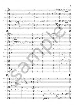 Old Shoe, New Shoe von Christan Wolff 