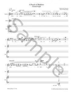 A Puzzle of Shadows von Philip Grange 