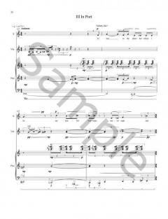 A Puzzle of Shadows von Philip Grange 