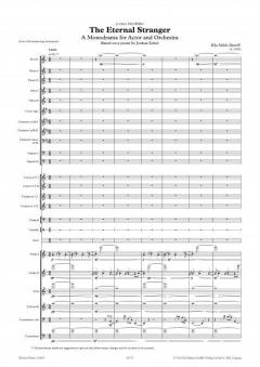 Der ewige Fremde von Ella Milch-Sheriff 