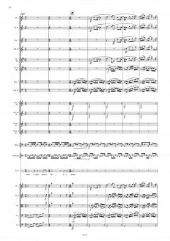 Der ewige Fremde von Ella Milch-Sheriff 