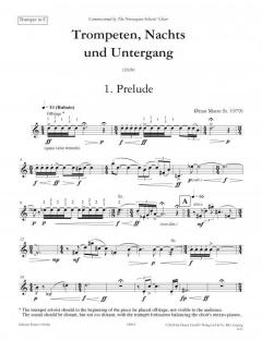 Trompeten, Nachts und Untergang von Ørjan Matre 