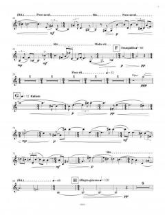 Trompeten, Nachts und Untergang von Ørjan Matre 